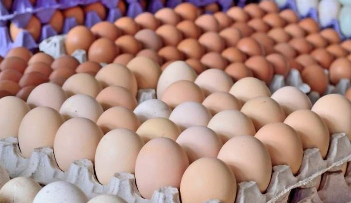 ¿Es mejor guardar los huevos en la nevera? ¿Y es peligroso lavarlos?